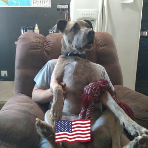 Meet your Posher, Ted - Picture 1 of 1